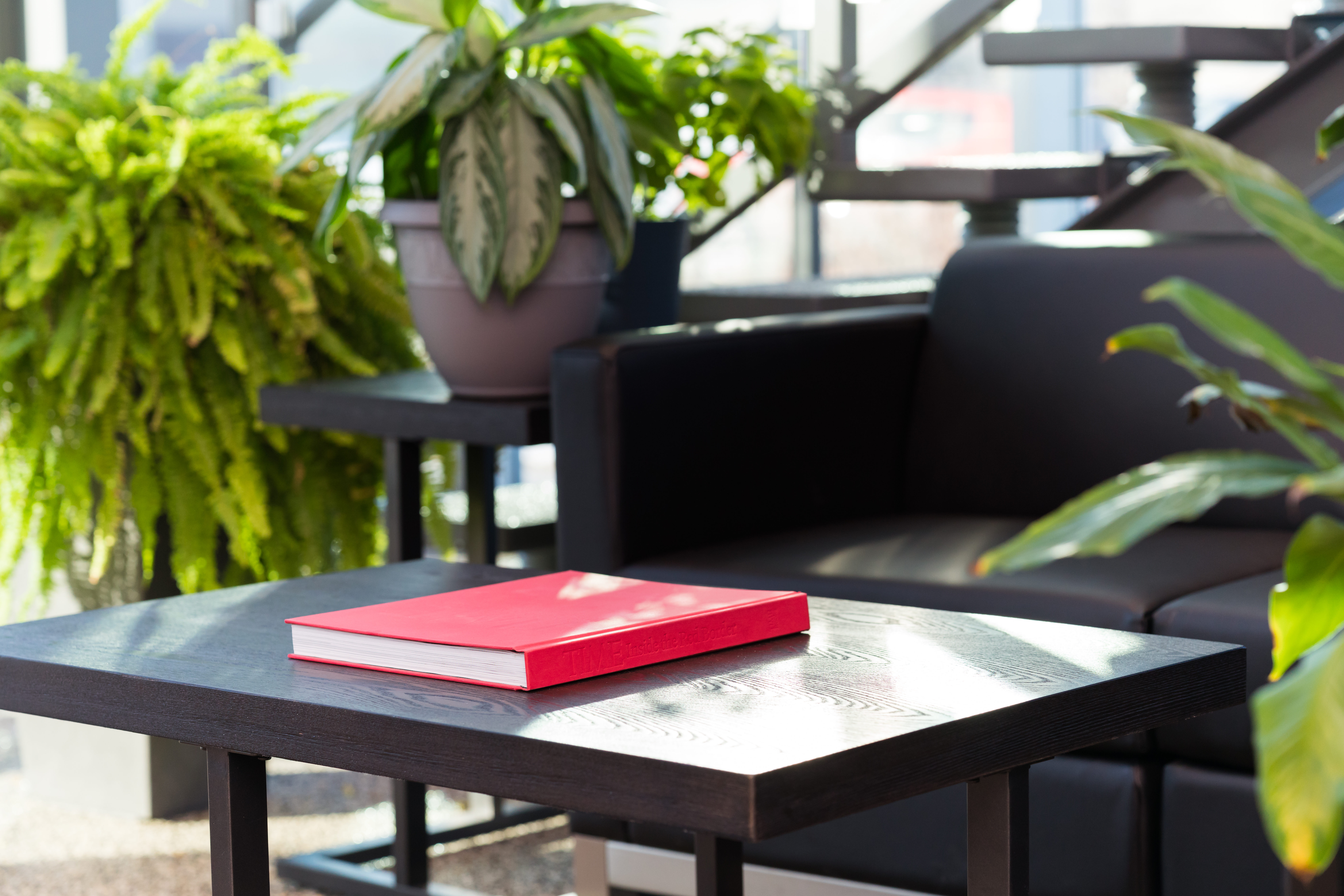 Table and couch surounded my green plants in the Dynamo waiting room